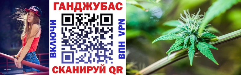 где купить   Новокузнецк  Каннабис конопля 